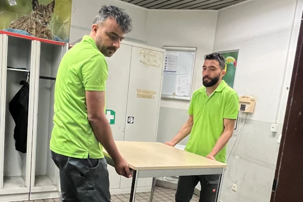 Zwei Sorglos-Entrümpler in grünen Poloshirts tragen gemeinsam einen rechteckigen Tisch mit hellbrauner Tischplatte