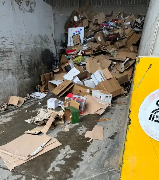 Große Menge zerknitterter und gefalteter Kartons in einer Betonmulde eines Recyclinghofs