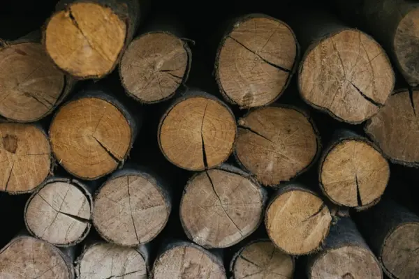 Querschnitte von Baumstämmen mit sichtbaren Jahresringen und Rissen in einer gestapelten Anordnung.