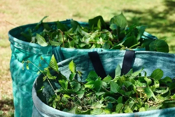 Zwei große grüne Gartensäcke gefüllt mit frischem Grünschnitt stehen auf einer Wiese